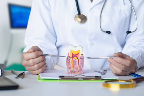 Best Emergency Gum Pain Relief  in Benton, LA